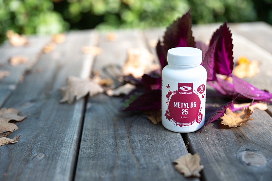 Healthwell Metyl B6 25 str p en trtrall en solig dag, tillsammans med lila blad och hstlv.